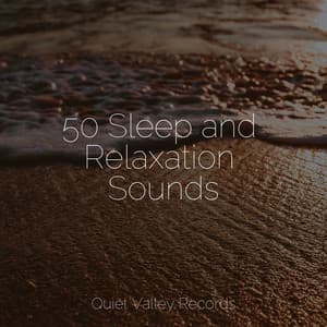 50 Sleep and Relaxation Sounds - Sleep Music System