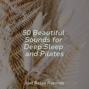 50 Beautiful Sounds for Deep Sleep and Pilates - Calming Sounds