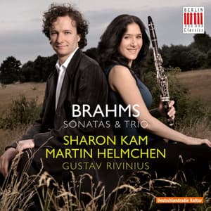 Brahms: Sonatas & Trios - Johannes Brahms