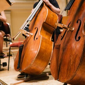 Slumber Orchestra: Relaxing Symphonic Melodies - Eloy Perez