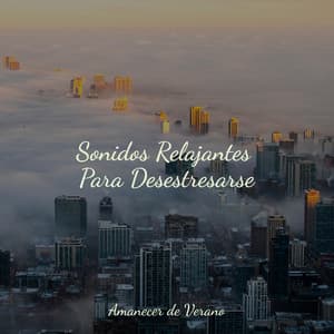 Sonidos Relajantes Para Desestresarse - kinderliedjes