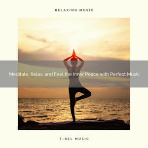 2020 Best: Meditate, Relax, and Feel the Inner Peace with Perfect Music - Ultimate Spa Music