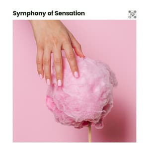 Symphony of Sensation - Soporific Pink Noise