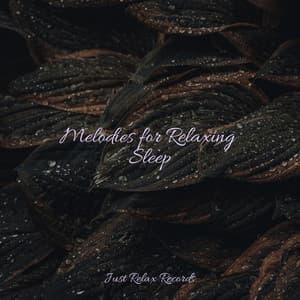Melodies for Relaxing Sleep - Yoga