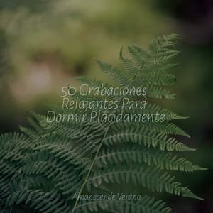 50 Grabaciones Relajantes Para Dormir Plácidamente - Yoga Music