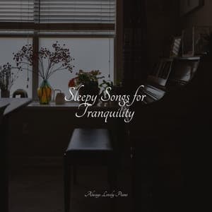 Sleepy Songs for Tranquility - Piano Music for Work