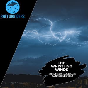 The Whistling Winds - Mesmerised Nature and Rainy Sounds, Vol. 1 - Rain Sounds