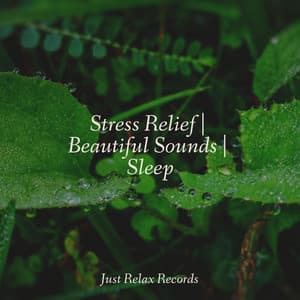 Stress Relief | Beautiful Sounds | Sleep - Relajación