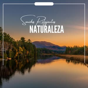 Sonidos Relajantes Naturaleza - Sonidos De Pajaros