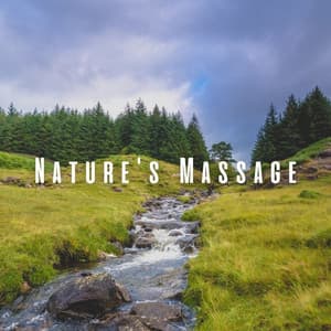 Nature's Massage: Meditative Water Symhponies - Nu Meditation Music