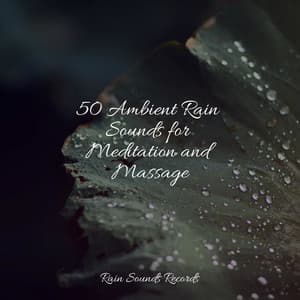 50 Ambient Rain Sounds for Meditation and Massage - White Noise Therapy