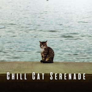 Chill Cat Serenade: Ocean and Chill Sounds for Ultimate Relaxation - Ocean of Relax