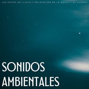 Sonidos Ambientales: Las Pistas De Lluvia Y Relajación De La Mente Y El Cuerpo - Música relajante con sonidos de la naturaleza