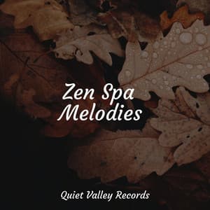 Zen Spa Melodies - Sleep Meditation Dream Catcher