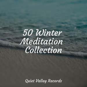 50 Winter Meditation Collection - It's Raining