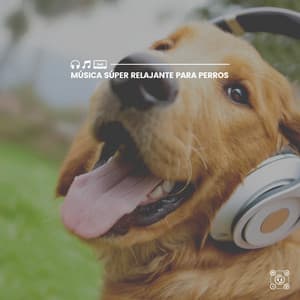 Música Súper Relajante para Perros - Mascotas tranquilas