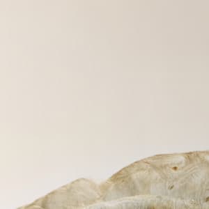 365 Complete Works 7 - Aidan O'Rourke