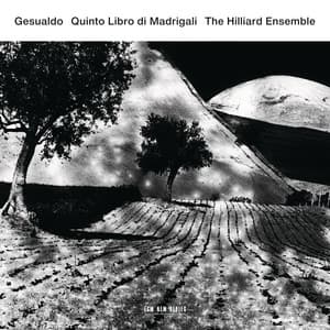Gesualdo: Quinto Libro di Madrigali - Carlo Gesualdo