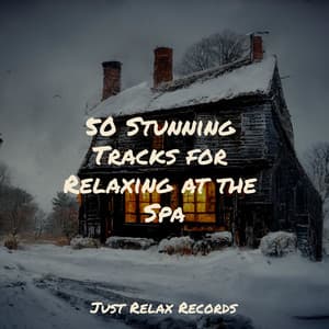 50 Stunning Tracks for Relaxing at the Spa - Sonidos de la Naturaleza Relajacion