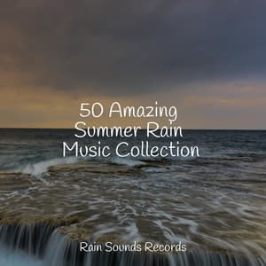 50 Amazing Summer Rain Music Collection - Music For Absolute Sleep