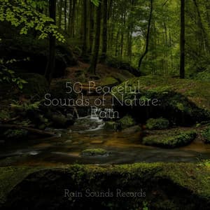 50 Peaceful Sounds of Nature: Rain - Relaxing Spa Music