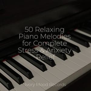 50 Relaxing Piano Melodies for Complete Stress & Anxiety Relief - Ivory Mood