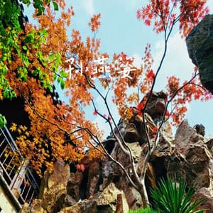 遇见 - Piano Mood 钢琴心情