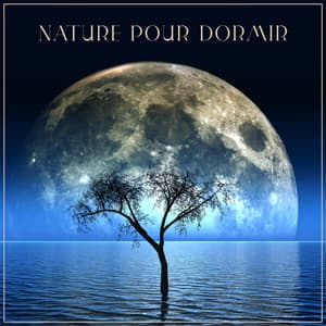 Soothing Airflow pour dormir - Joyce Long