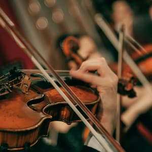 Calm Orchestra Tunes: Music for Serene Moments - Valborg Shamsuddin