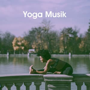 Yoga Musik - Relaxation And Meditation
