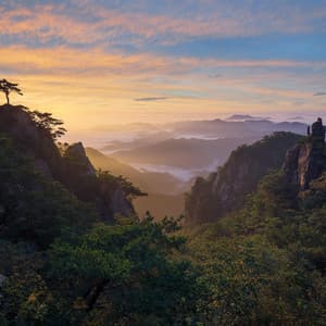 Enchanted Nature Soundscape: A Journey Through Natural Beauty - Pacific Soundscapes