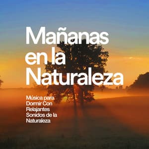 Mañanas en la Naturaleza - Música para Dormir Con Relajantes Sonidos de la Naturaleza