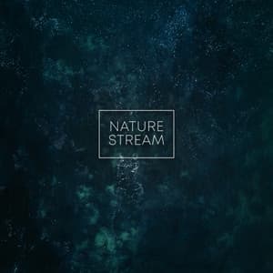 Nature Stream - Dog Music