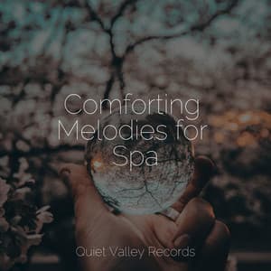 Comforting Melodies for Spa - Study Music
