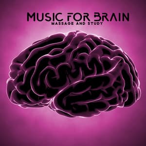 Music for Brain Massage and Study Motivation: Calming Music, Make You Feel Better, Exam Anxiety Relief, Zen Music for Study - Brain Study Music Guys