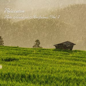 Relaxation: Rain Noise for Mindfulness Vol. 1 - Relaxing Spa Music