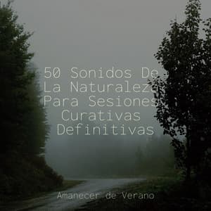 50 Sonidos De La Naturaleza Para Sesiones Curativas Definitivas - Música ambiental relajante
