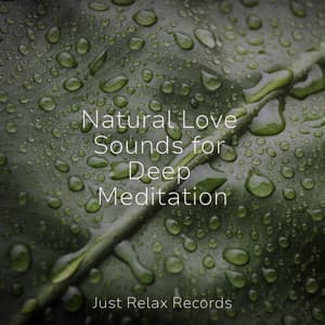 Natural Love Sounds for Deep Meditation - Relaxing Mindfulness Meditation Relaxation Maestro