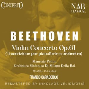 Violin Concerto Op.61 - Ludwig van Beethoven