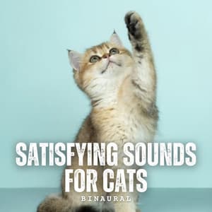 Binaural: Satisfying Sounds for Cats - Relax My Cat