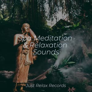 Spa Meditation & Relaxation Sounds - Mantra para Dormir