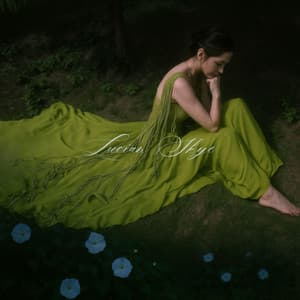 Awake The Air - Lucian Skye