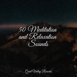 50 Meditation and Relaxation Sounds - Tibetan Singing Bowls for Relaxation