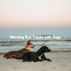 Morning Run Tracks with Dogs - Reading Background Music