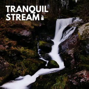 Tranquil Stream - Sounds Of The Earth