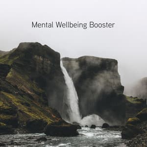 Mental Wellbeing Booster - Asana Voce