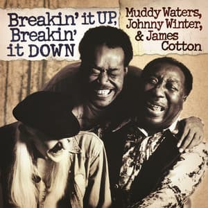 Breakin' It Up, Breakin' It Down - Muddy Waters
