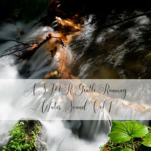 ASMR Gentle Running Water Sound Vol. 1 - Bosque Tropical