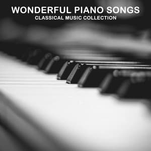 14 Wonderful Piano Songs: Classical Music Collection - Piano Pianissimo
