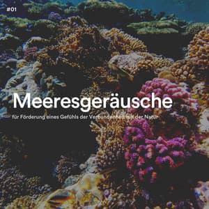 #01 Meeresgeräusche für Förderung eines Gefühls der Verbundenheit mit der Natur - Meeresgeräusche